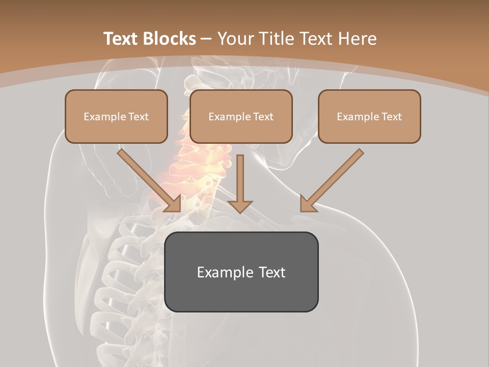 Joint Spinal Biology PowerPoint Template