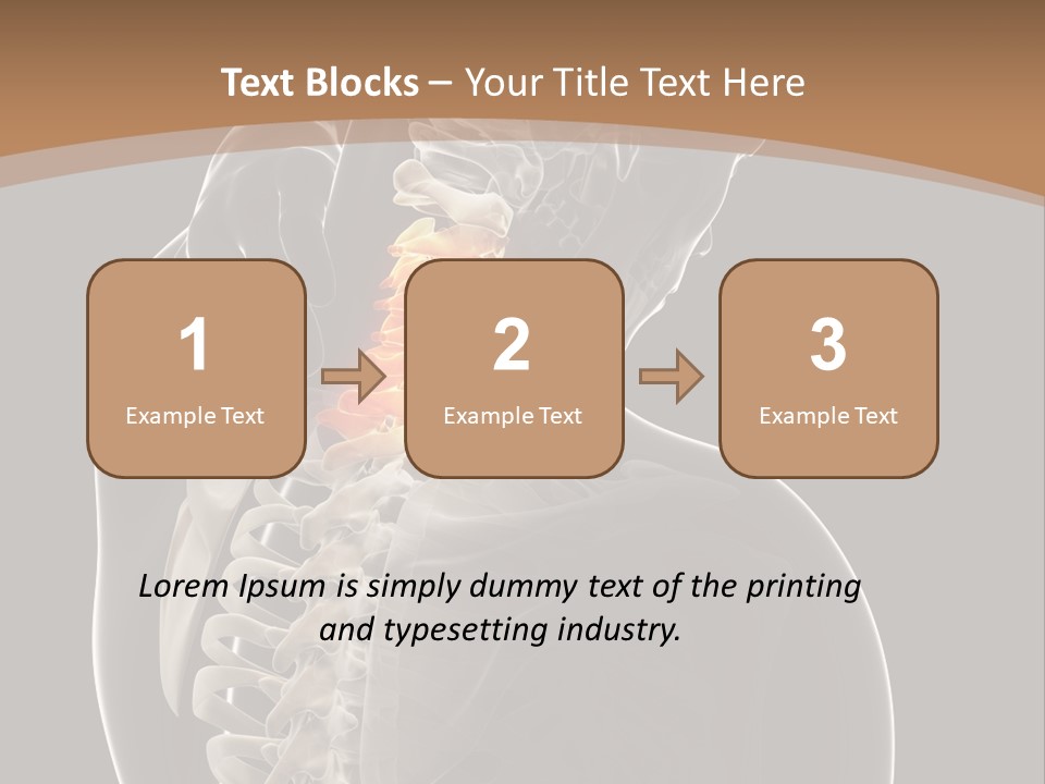 Joint Spinal Biology PowerPoint Template
