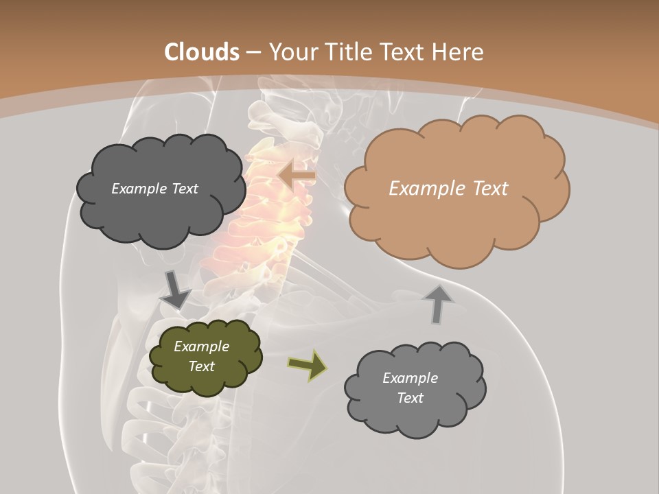 Joint Spinal Biology PowerPoint Template