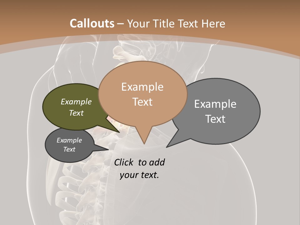 Joint Spinal Biology PowerPoint Template