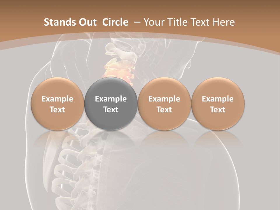 Joint Spinal Biology PowerPoint Template