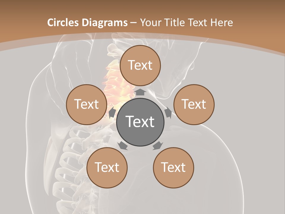 Joint Spinal Biology PowerPoint Template