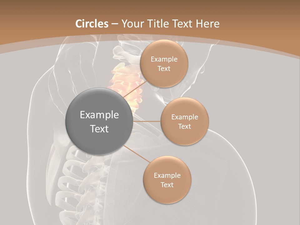 Joint Spinal Biology PowerPoint Template