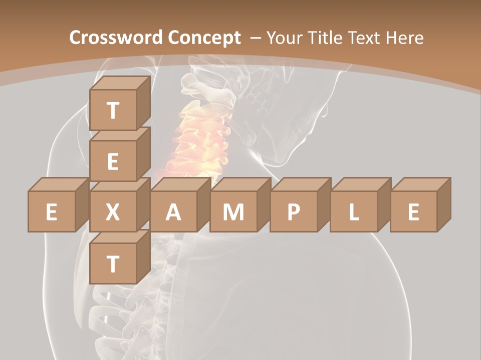 Joint Spinal Biology PowerPoint Template