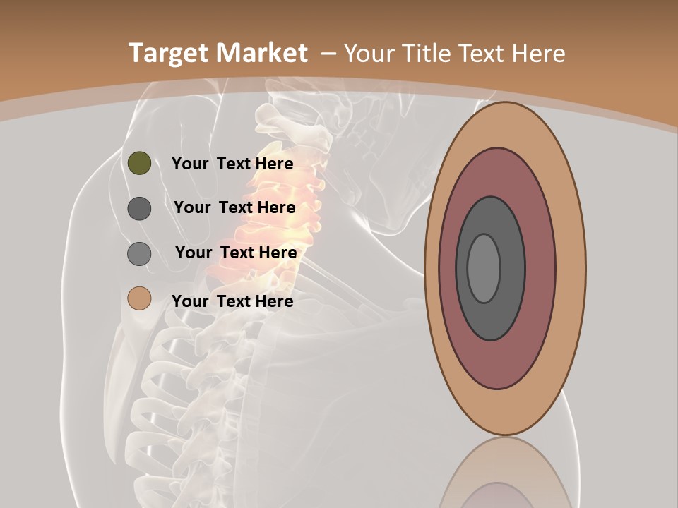 Joint Spinal Biology PowerPoint Template