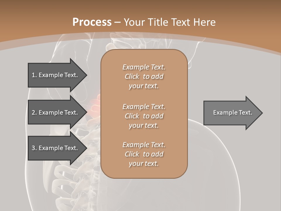 Joint Spinal Biology PowerPoint Template