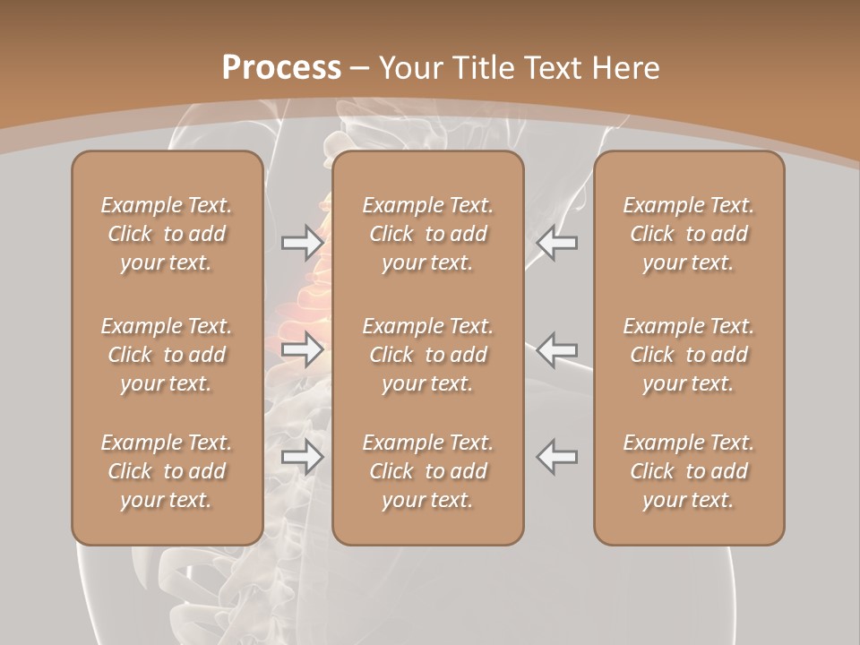 Joint Spinal Biology PowerPoint Template