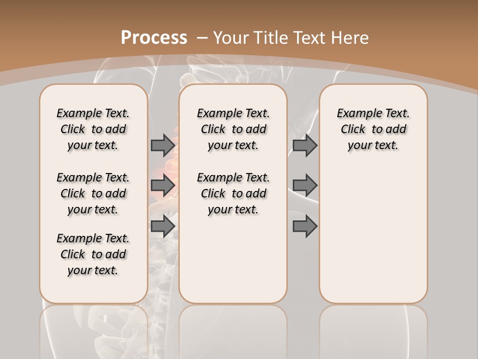 Joint Spinal Biology PowerPoint Template