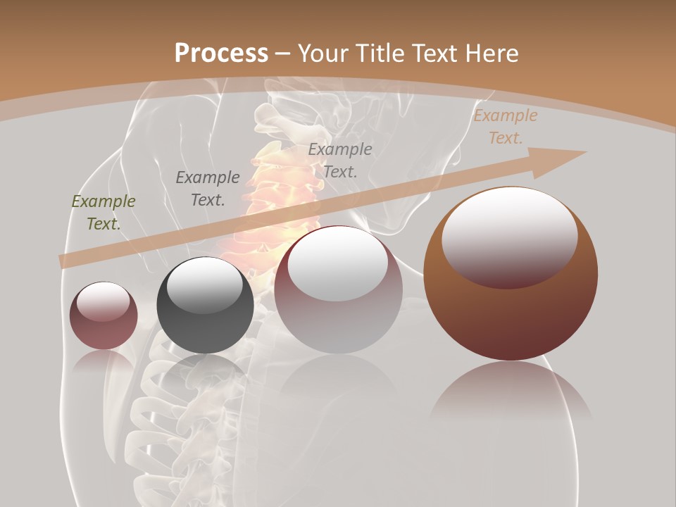 Joint Spinal Biology PowerPoint Template