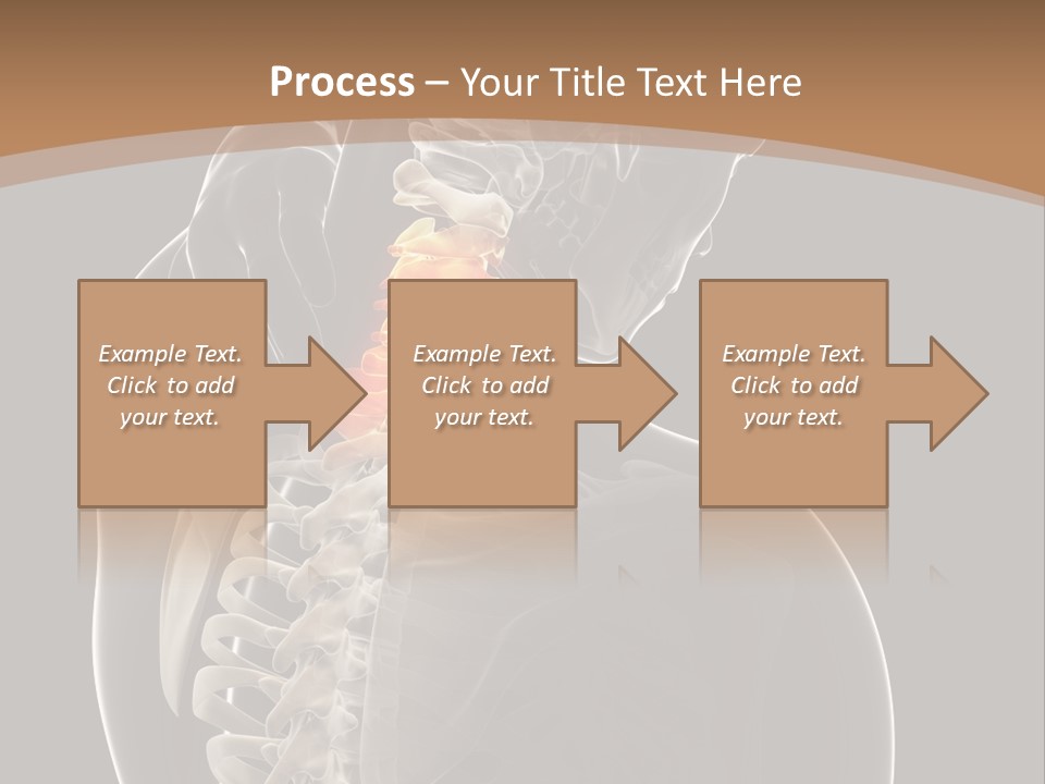 Joint Spinal Biology PowerPoint Template