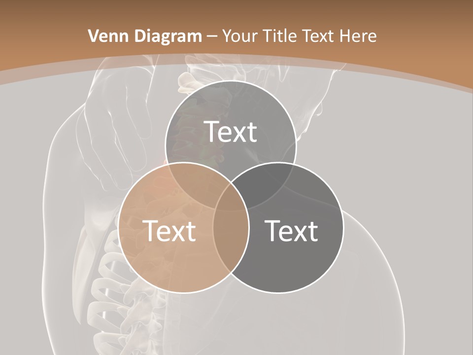 Joint Spinal Biology PowerPoint Template