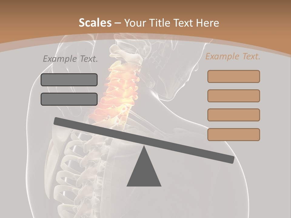 Joint Spinal Biology PowerPoint Template