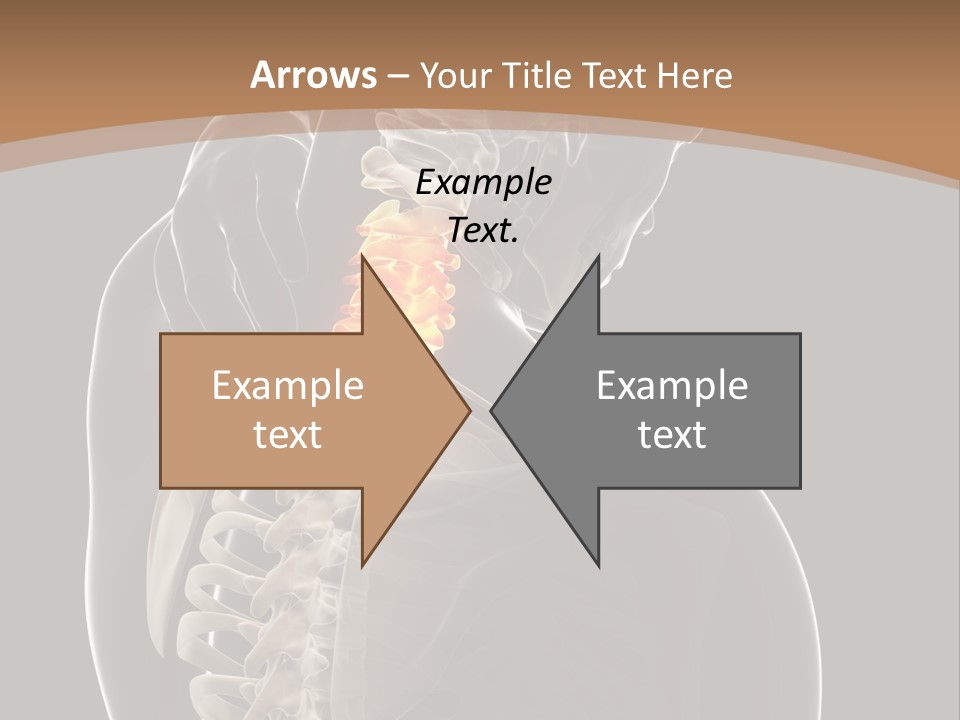 Joint Spinal Biology PowerPoint Template