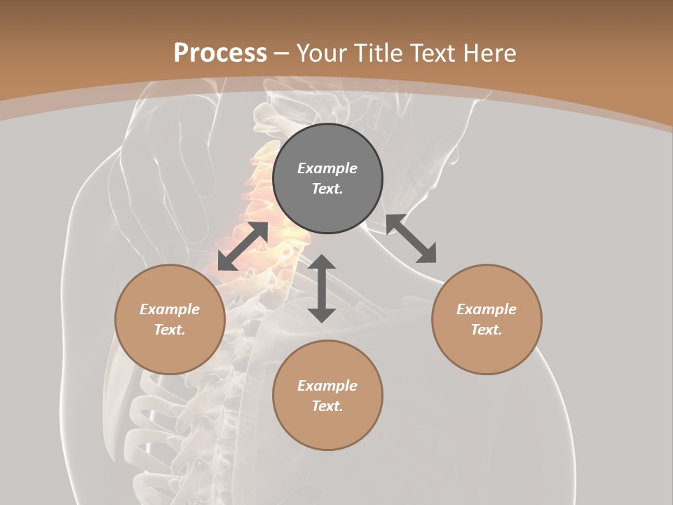 Joint Spinal Biology PowerPoint Template