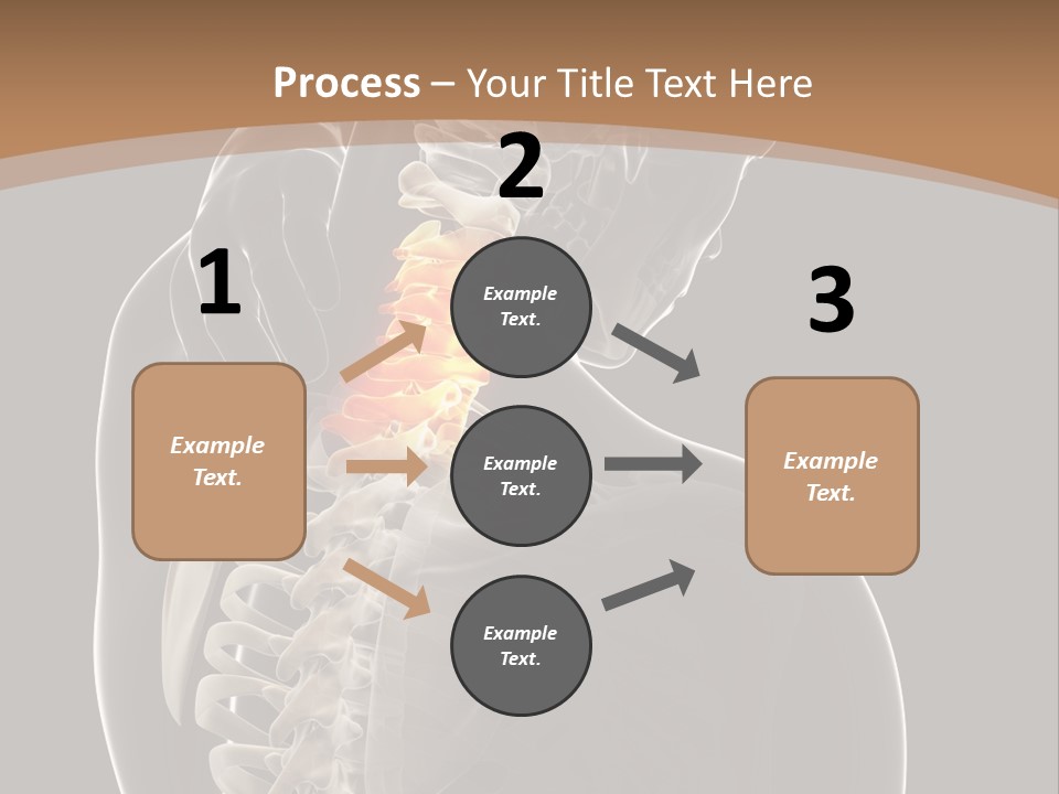 Joint Spinal Biology PowerPoint Template