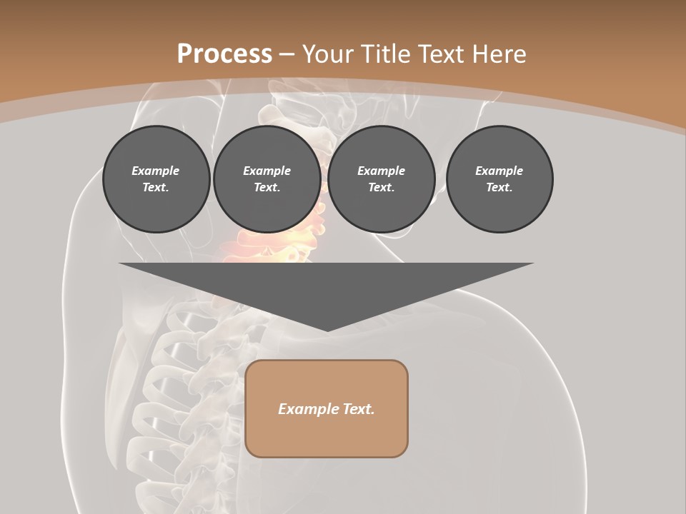 Joint Spinal Biology PowerPoint Template