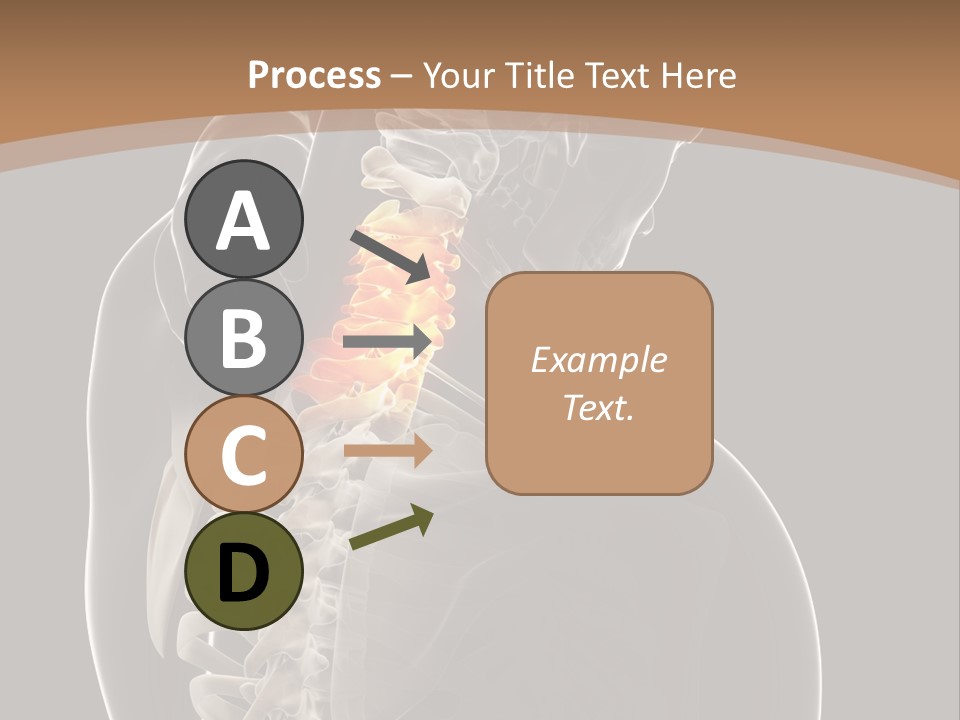 Joint Spinal Biology PowerPoint Template