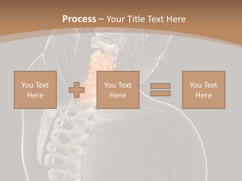 Joint Spinal Biology PowerPoint Template