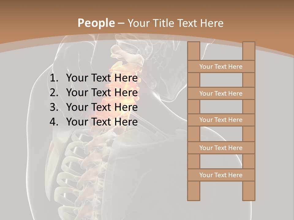 Joint Spinal Biology PowerPoint Template