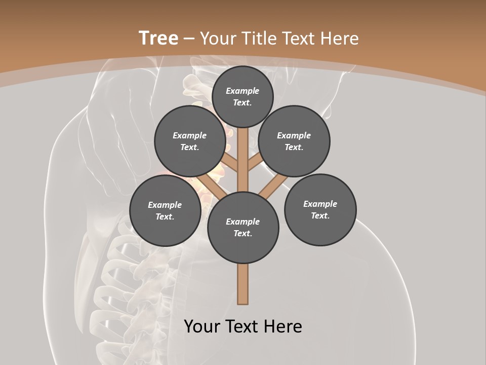 Joint Spinal Biology PowerPoint Template