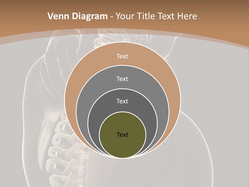 Joint Spinal Biology PowerPoint Template