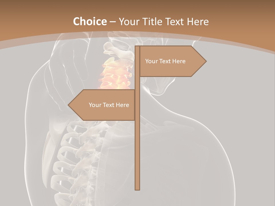 Joint Spinal Biology PowerPoint Template