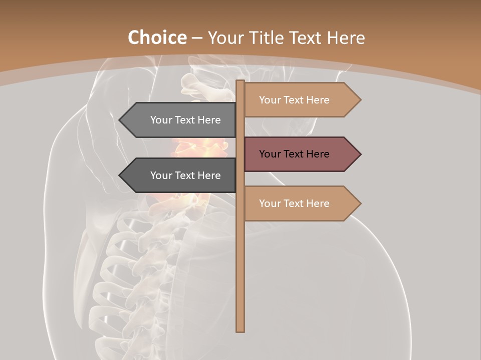 Joint Spinal Biology PowerPoint Template