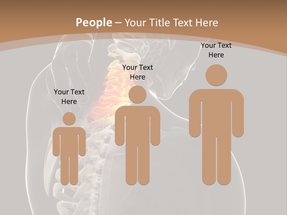 Joint Spinal Biology PowerPoint Template