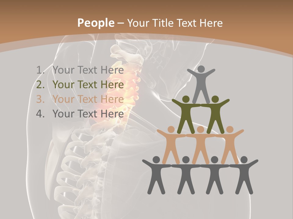 Joint Spinal Biology PowerPoint Template