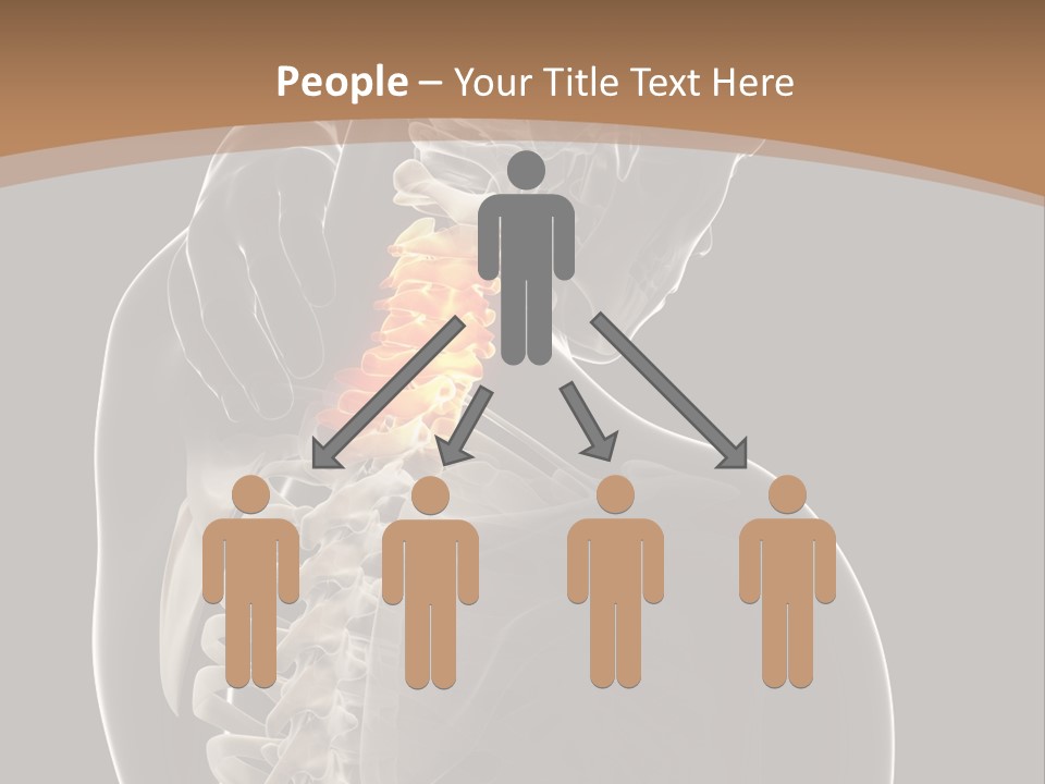 Joint Spinal Biology PowerPoint Template