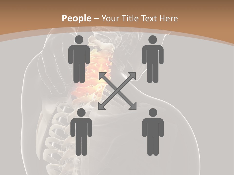 Joint Spinal Biology PowerPoint Template