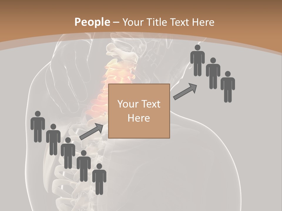 Joint Spinal Biology PowerPoint Template