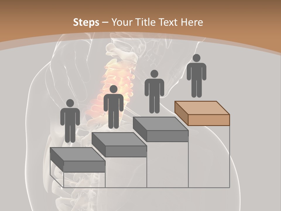 Joint Spinal Biology PowerPoint Template