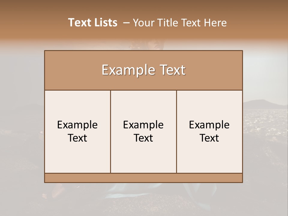 Shoe Stylish Bracelet PowerPoint Template