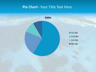 Snorkeling Split Undersea PowerPoint Template