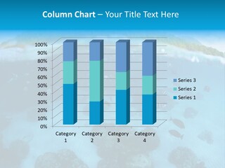 Snorkeling Split Undersea PowerPoint Template