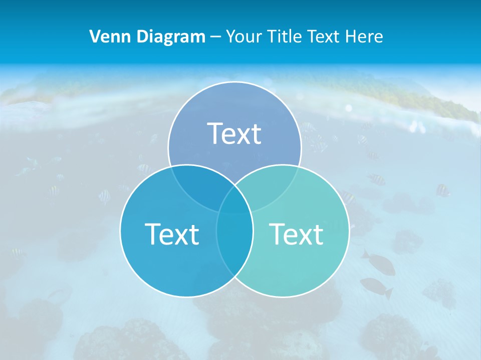 Snorkeling Split Undersea PowerPoint Template