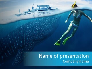 Wide Endangered Snorkeling PowerPoint Template