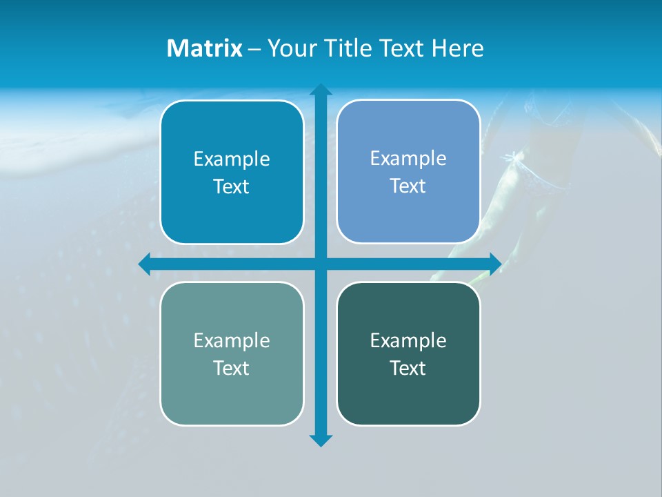 Wide Endangered Snorkeling PowerPoint Template