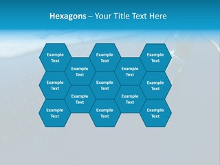 Wide Endangered Snorkeling PowerPoint Template