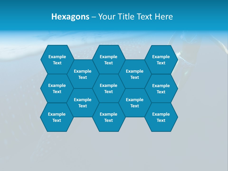 Wide Endangered Snorkeling PowerPoint Template