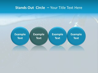 Wide Endangered Snorkeling PowerPoint Template