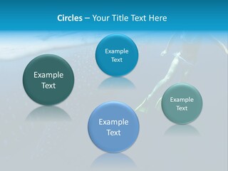 Wide Endangered Snorkeling PowerPoint Template