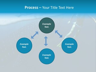 Wide Endangered Snorkeling PowerPoint Template