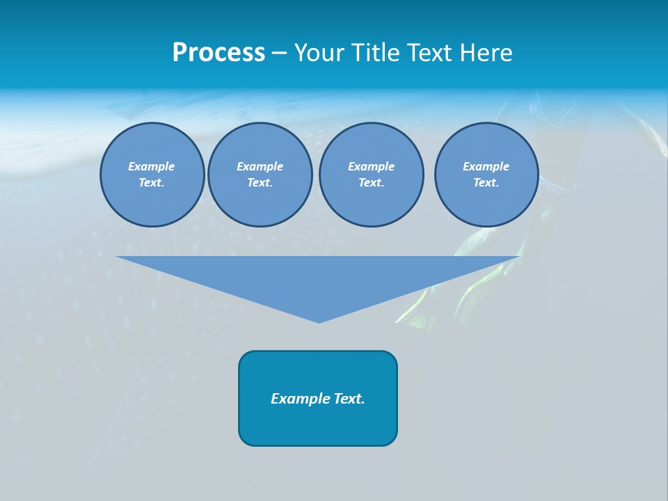 Wide Endangered Snorkeling PowerPoint Template