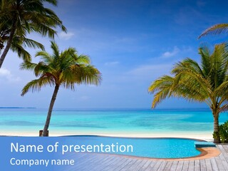 Abstract Vacation Palm PowerPoint Template