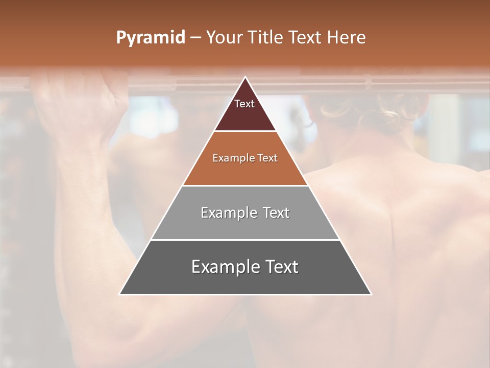 Training Weights Fitness PowerPoint Template