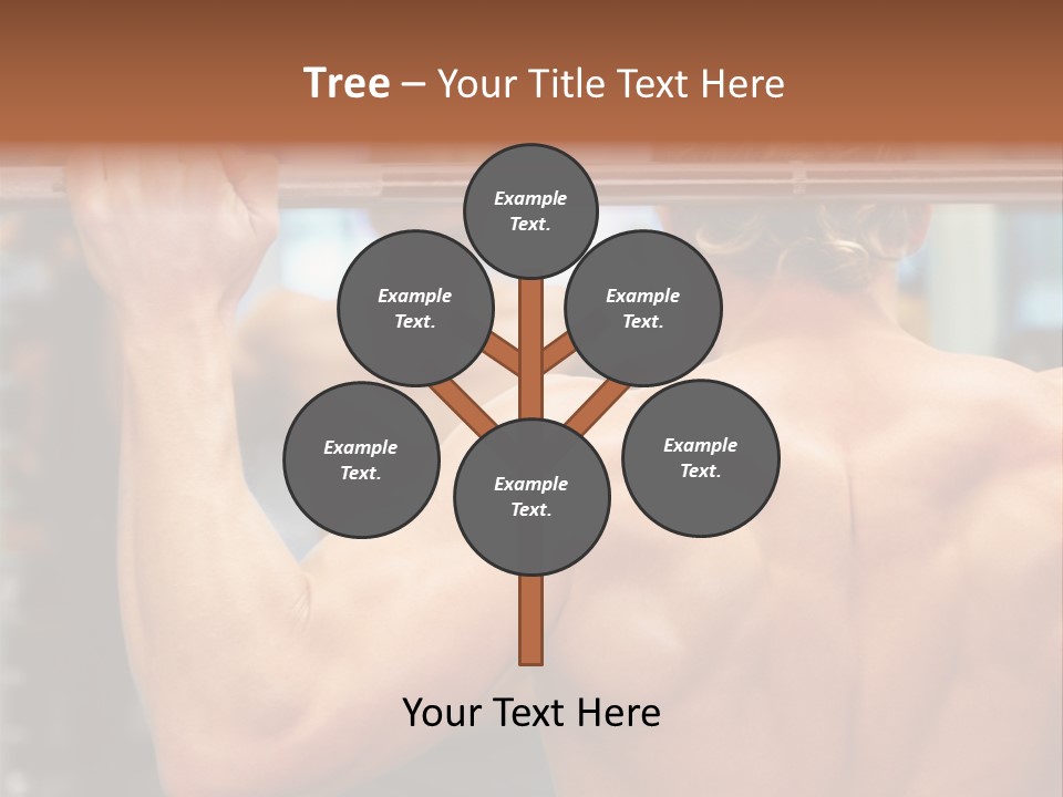 Training Weights Fitness PowerPoint Template