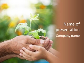 Environmental Spring Blurred PowerPoint Template