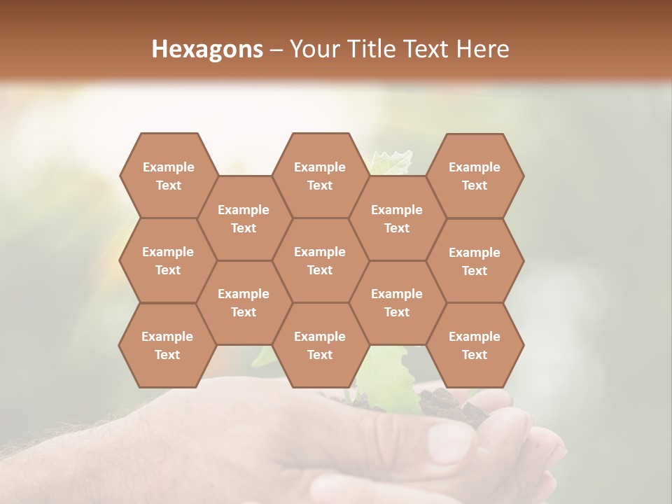 Environmental Spring Blurred PowerPoint Template